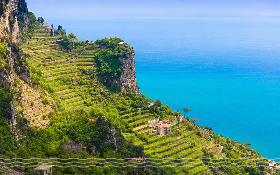 Amalfi Yacht Charter Guide Wines