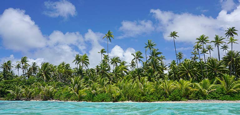 top yacht charter destinations carribean bahamas carribean leeward islands preview